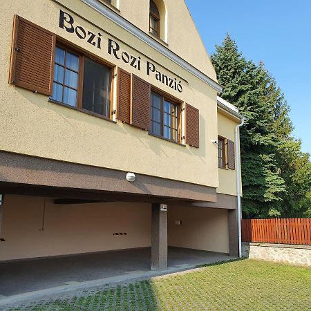 Bozi Rozi Panzió Fertőboz Exterior foto